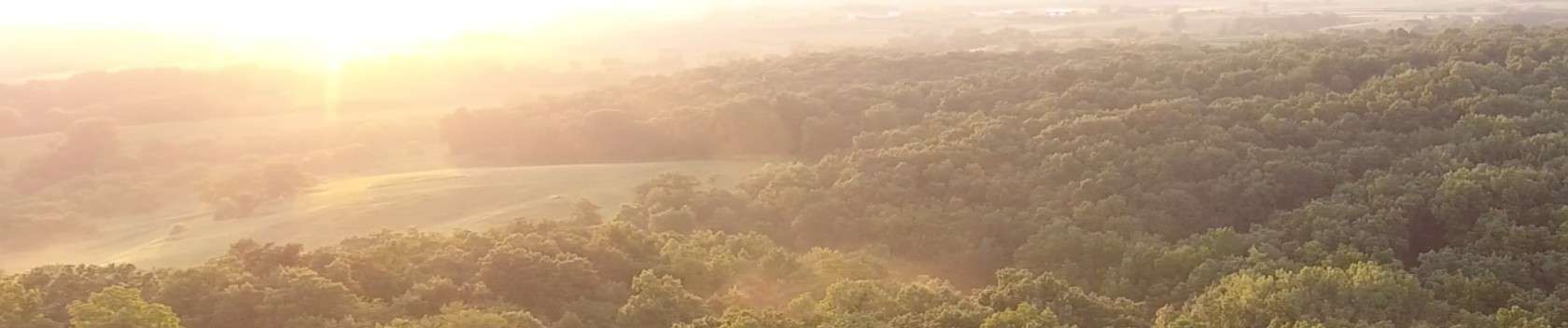Aerial view of a forest at sunrise.
